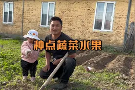去年种的花生朋友们说种少了，说一窝应该放四颗，还种了地瓜视频封面