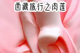 西藏旅行之肉莲