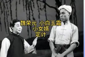 魏荣元 小白玉霜--小女婿·定计视频封面