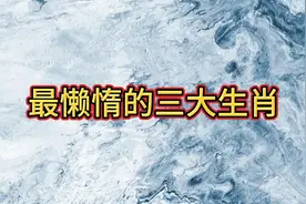 最懒惰的三大生肖视频封面