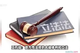 王万俊：地方性法规的名称体例和立法类型问题视频封面