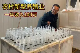 农村一新型养殖业做起来了，1年收入100万轻轻松松，看看养的啥视频封面