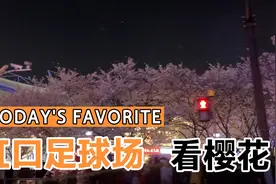 虹口足球场的樱花超好拍？我去一探究竟视频封面