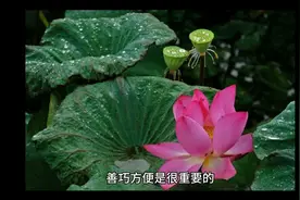 善巧方便很重要