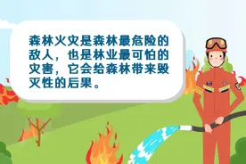 科普森林防火知识#森林防火人人有责视频封面