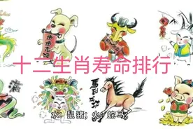 十二生肖寿命长短排行，看看你能活多少岁视频封面