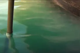 一口气看完李白的一生视频封面