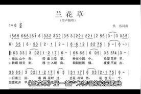 经典歌曲解读（二）之《兰花草》视频封面