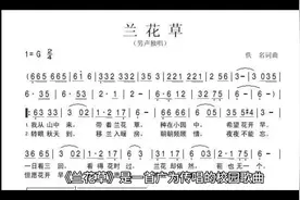 经典歌曲解读（二）之《兰花草》视频封面