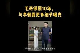 毛奇领刑10年，与李佩霞更多细节曝光#社会百态 #今日说法视频封面