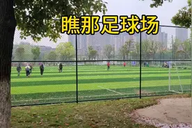 生活随拍:你见过公园有那么好足球场么视频封面