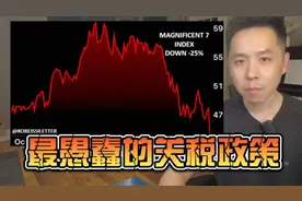 人类历史上最愚蠢的关税视频封面