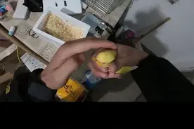 180拍了只鹦鹉视频封面