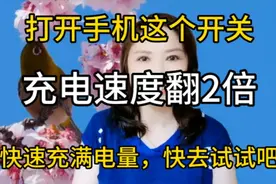 打开手机这个开关，充电速度翻2倍，快速充满电量，去试试吧视频封面