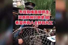 不拴狗绳直接抓走，河南郑州打响第1枪，希望养狗人士好自为之。视频封面
