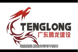 #今天我们一起聊聊#腾龙有限公司#是一家什么公司#负责人#雷军#