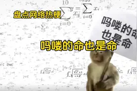 盘点网络热门梗之吗喽的命也是命