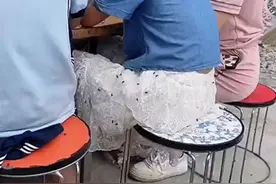 身上全是苍蝇，这是咋回事！视频封面