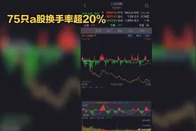 75只a股换手率超20%视频封面