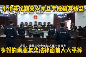 《邯郸三少年杀人案一审宣判，背后隐藏的惊人真相视频封面