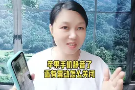 苹果手机静音了还有震动怎么关闭