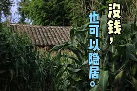 谈谈我的收入来源，以及给没钱又想隐居的人一点建议视频封面