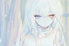 我的番茄书架ฅ( ̳• ◡ • ̳)ฅ