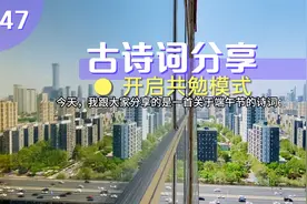 第四十七篇分享关于端午节，祝安康！视频封面