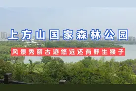 苏州上方山国家森林公园适合遛娃 风景秀丽 古迹悠远还有野生猴子视频封面
