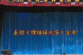 秦腔《狸猫换太子》全本，三意社演出