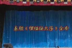 秦腔《狸猫换太子》全本，三意社演出