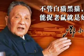 黑猫白猫论视频封面