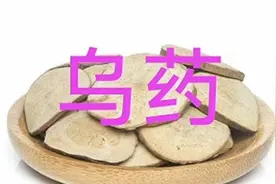 乌药有行气止痛温肾散寒作用用于冷凝气滞引起的胸腹胀痛、痛经等视频封面