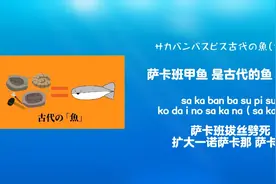 萨卡萨卡班班甲鱼鱼 中日歌词+罗马音+空耳视频封面