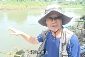 什么鱼钩最好挂蚯蚓，并且鱼获还多。视频封面