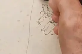 白描花卉7视频封面