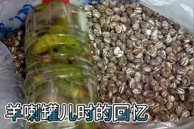 看到它满满的童年回忆，东北特产羊喇罐，营养价值高视频封面