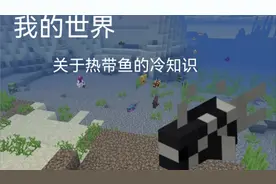 我的世界:关于热带鱼的冷知识