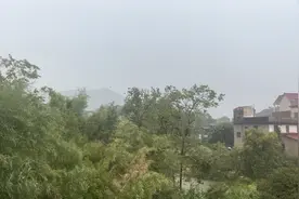 浙江终于下大雨了，老天有眼，最好下个三天3夜，驱赶42度高温视频封面