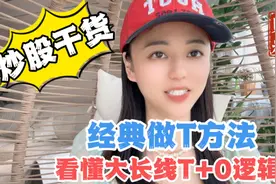 经典做T方法，看懂大长线T+0逻辑！稳定收获！视频封面