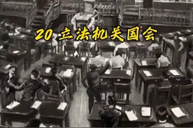 20 立法机关——国会视频封面