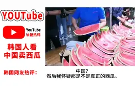 韩国网友看中国卖西瓜评论视频封面