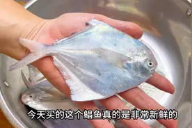 清蒸鱼要淋热油比较油腻，胖江教你潮汕做法，鲜嫩入味又不腥