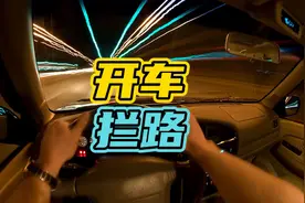 开车遇到动物拦路该怎么办？#民间传说视频封面