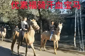 偶遇新疆优素福骑汗血宝马 帅@新疆优素福