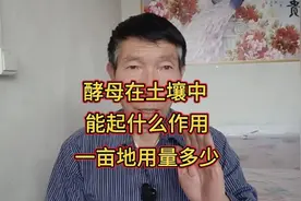 改良土壤试试这个小偏方，花钱少效果还好，很多种植户都用过视频封面