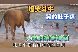 四川话爆笑配音：爆笑斗牛人类的搞笑事，个个都是人才笑的肚子痛视频封面