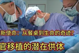 猪肝新使命：从餐桌到生命的奇迹？这到底是怎么回事呢？视频封面