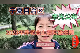 宁夏自治区率先公布2023年养老金上调的实施细则视频封面