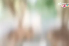 陈哲远演《一笑随歌》，初吻乌龙笑翻！期待快点上！